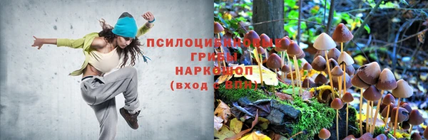 мет Михайловск